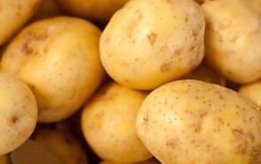 土豆长期保存方法一年