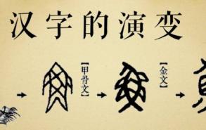 中国汉字的演变过程