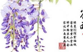 谷雨是什么季节