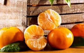 橘子冬天放在室外怕冻吗