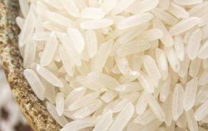 长米粒是什么米