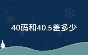 40码和40.5差多少