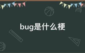 bug是什么梗