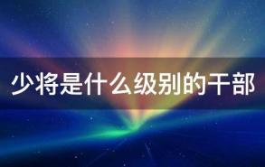 少将是什么级别的干部