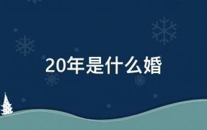 20年是什么婚