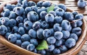 蓝莓里面的籽可以吃吗