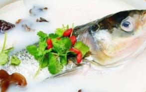 鱼头豆腐汤能放西红柿吗