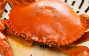 熟的螃蟹可以放冰箱冷冻保存吗