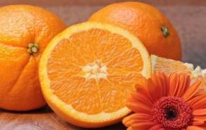 橙子在冰箱里可以保存多久