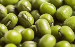 吃绿豆对人体有什么作用