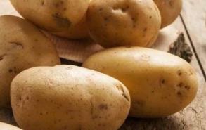 发芽的土豆可以吃吗有没有毒