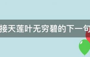 接天莲叶无穷碧的下一句