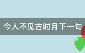 今人不见古时月下一句