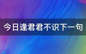 今日逢君君不识下一句