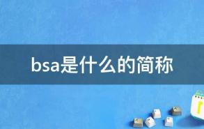 bsa是什么的简称