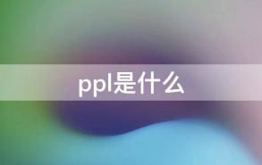 ppl是什么