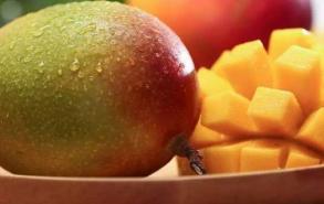 芒果熟了可以放冰箱保存吗