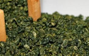绿茶常见的香气类型有哪些