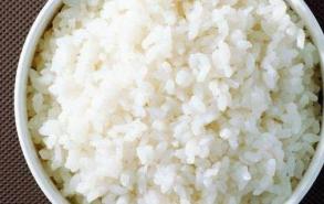 米饭长了橙色的霉菌是什么