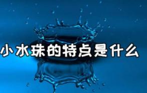 小水珠的特点是什么