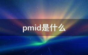 pmid是什么