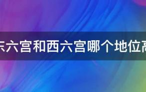 东六宫和西六宫哪个地位高