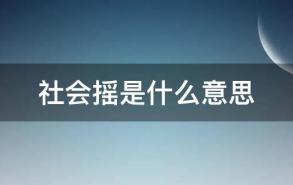 社会摇是什么意思