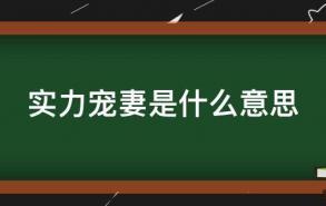 实力宠妻是什么意思