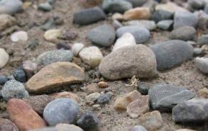 石头怎样的落在地上
