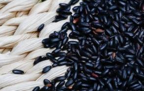 黑香米和黑米有什么区别吗
