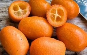 橙色的水果有哪些