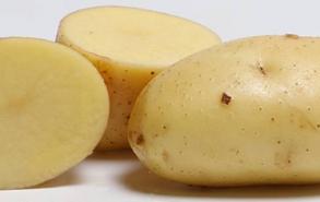 怎么辨别黄心土豆