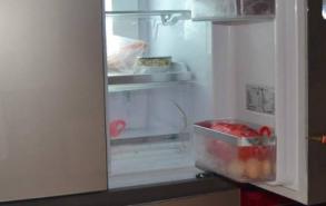 冰箱里面有蟑螂怎么办