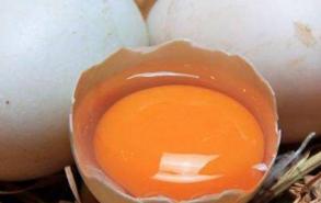 如何区分苏丹红鸡蛋
