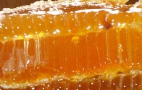 荔枝蜂蜜保质期多久