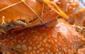 熟螃蟹冷冻保存多久