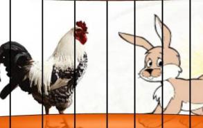 鸡兔同笼问题解法