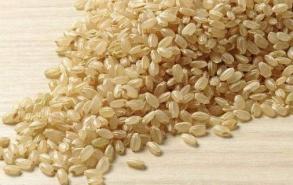 糙米如何发芽