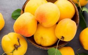 黄桃有哪些品种