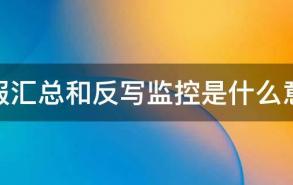 上报汇总和反写监控是什么意思