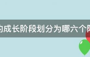 人的成长阶段划分为哪六个阶段