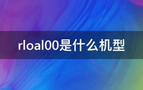 rloal00是什么机型