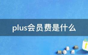 plus会员费是什么