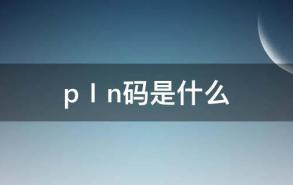 pⅠn码是什么