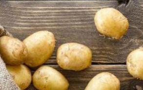 土豆是否应该存放在干燥阴凉处