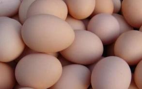 鸡蛋冬天能放多长时间