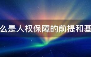 什么是人权保障的前提和基础