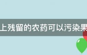 果皮上残留的农药可以污染果肉吗