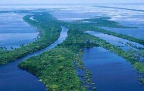 亚马逊河比长江还要长吗