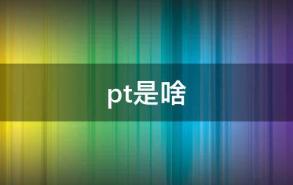 pt是啥